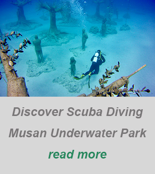 discover scuba diving-padi divecenter cyprus-private scuba diving