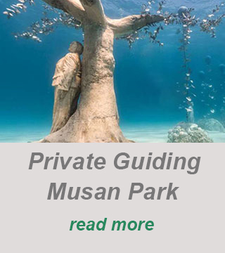 privaze guided dive-padi divecenter cyprus-musan underwater park