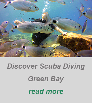 private diving-discover scuba diving-padi divecenter