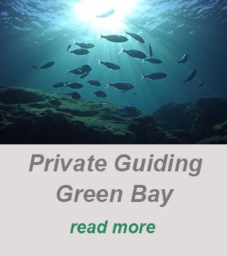 private guided dive-padi divecenter-green bay cyprus