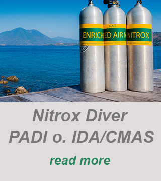 online nitrox course-nitrox diver-padi divecenter