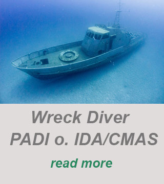 padi divecenter-wreck diver-padi specialty