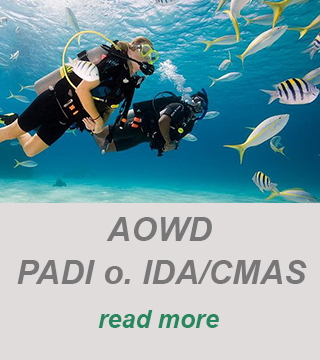 padi divecenter-diving course-advanced open water diver