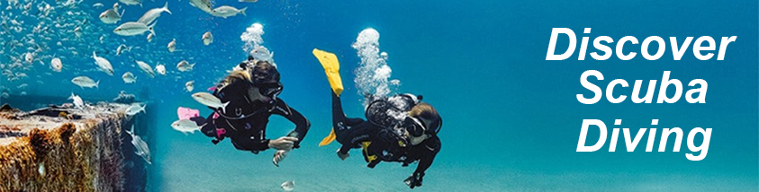 padi divecenter-discover suba diving-try dive